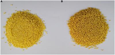 Investigation on the impact of quality characteristics and storage stability of foxtail millet induced by air cold plasma